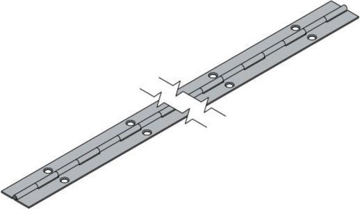 Produktbild Hettich Stangenscharnier H 600 x B 20 mm, vermessingt, 1 Stck (1 Stk.)
