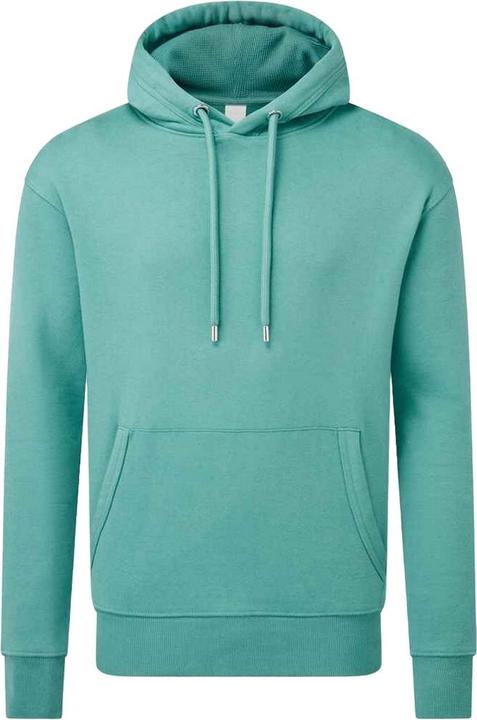 Produktbild Anthem Kapuzenpullover (S)