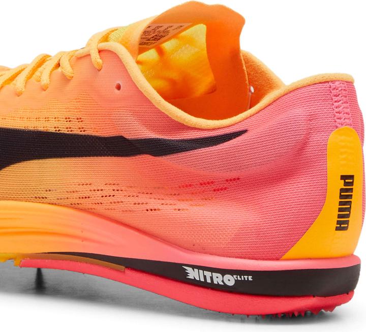 Image du produit Puma evoSPEED Longue Distance Nitro Elite 2 (43)