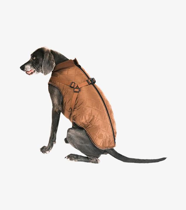 Actual product image Pet & Co. Ruby - Padded coat with harness - Brown (Dog coat)