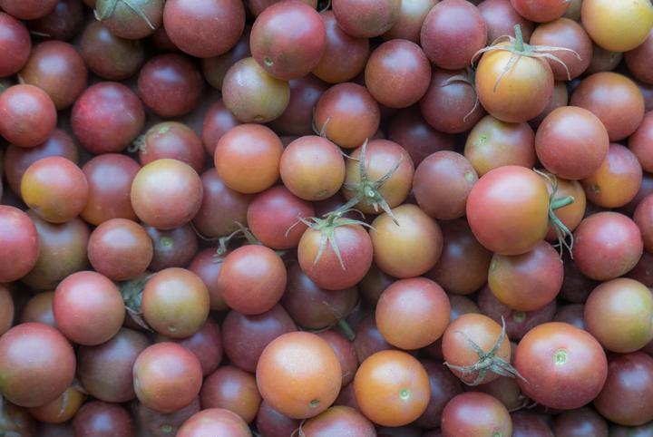 Produktbild Living Seeds Kirschtomate, black Cherry (Gemüsesamen)