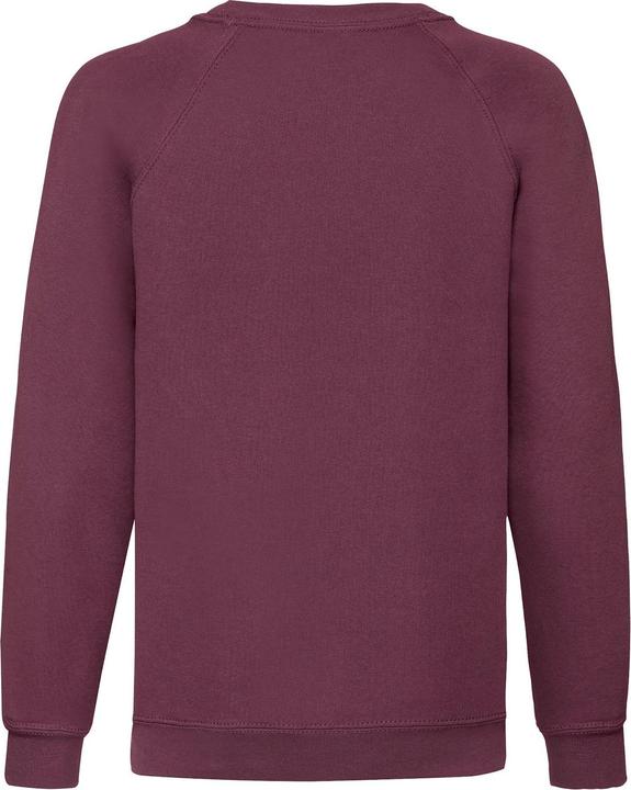 Actual product image Fruit of the Loom Childrens/Kids Classic Raglan Sweatshirt (164, 170)