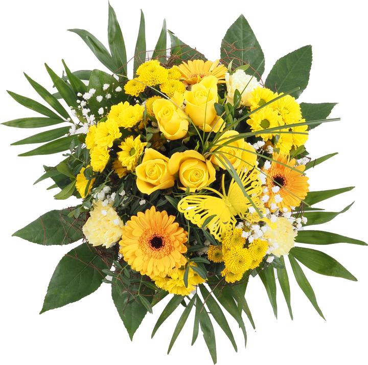 Giallo