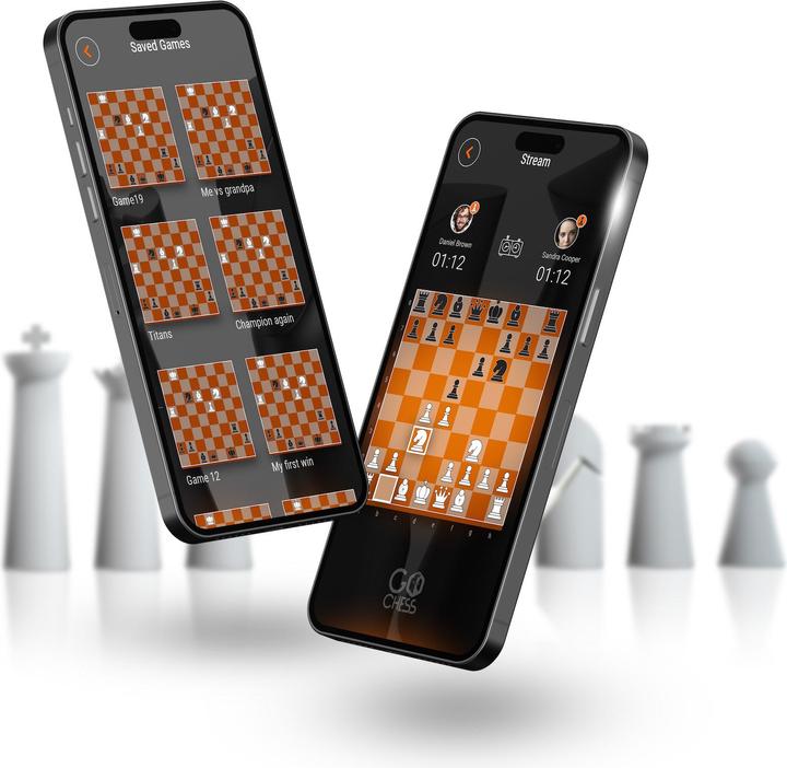 Actual product image Particula GoChess Mini