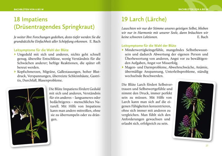 Produktbild Heilen mit Bachblüten. Das Kartenset (Deutsch, Anna E. Rcker, 2024)