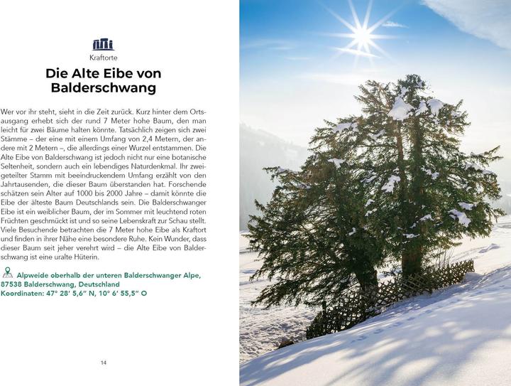 Actual product image Böck:Verrückteste Reiseführer f.Alpen (German, Daniel Wiechmann, Corinna Bück, 2025)