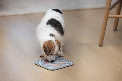 Image du produit Karlie Tapis à lécher Ava (Sac à friandises pour chien)