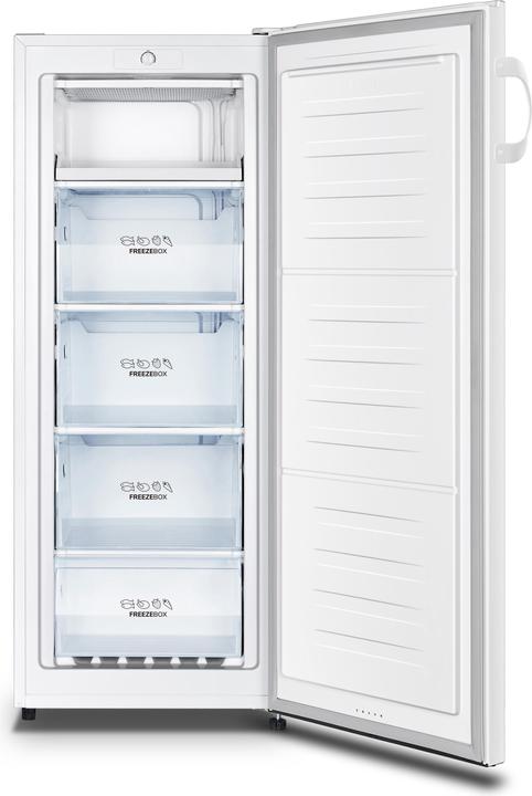Produktbild Gorenje F4142PW (Freistehend, 165 l)