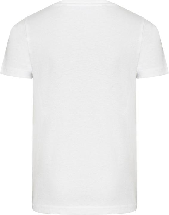 Image du produit Awdis Cascades T-shirt Coton issu de l'agriculture biologique (140, 146)