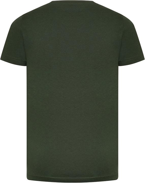 Immagine prodotto Awdis Cascades Tshirt Cotone Biologico (116)