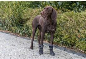 Image du produit Trixie Walker Active Bottes de protection longues, S, 2 pcs, noir (S, Chaussures pour chien)