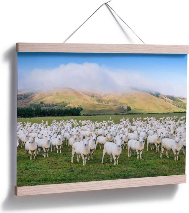Immagine prodotto Trenddeko Il gregge di pecore (60 x 50 cm)