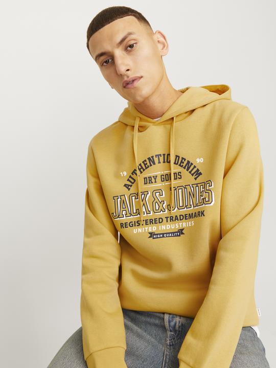 Immagine prodotto Jack & Jones JJELOGO SWEAT HOOD 2 COL 24/25 NOOS (XXL)