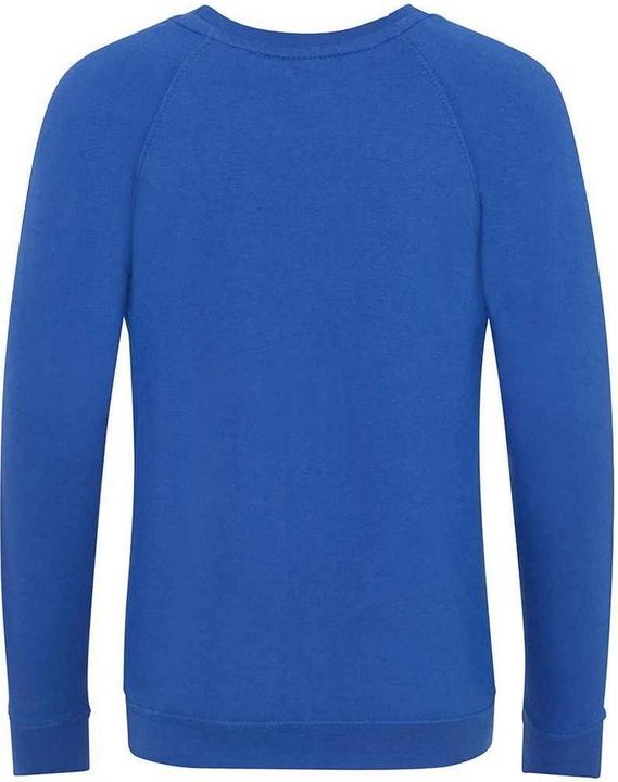 Produktbild Awdis Academy Sweatshirt Raglanärmel (146, 152)