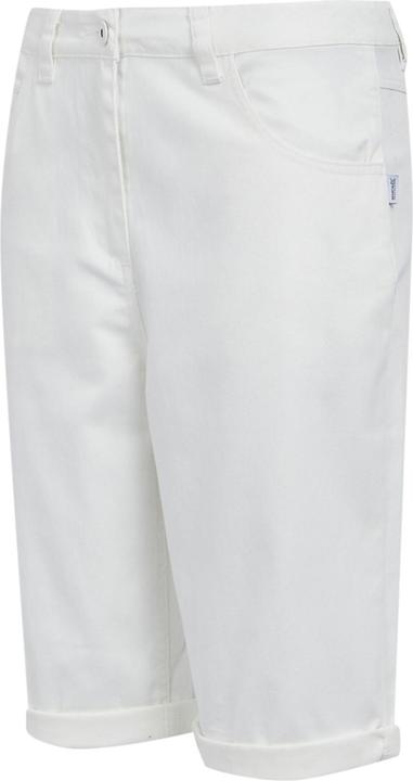 Actual product image Regatta Womens/Ladies Erdre Casual Shorts (38 D)