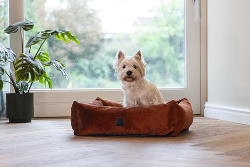 Produktbild Designed by Lotte Yndis (Hund)