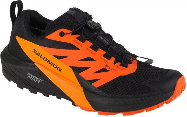 Image du produit Salomon Sense Ride 5 GTX Chaussures de trail running pour hommes (44)