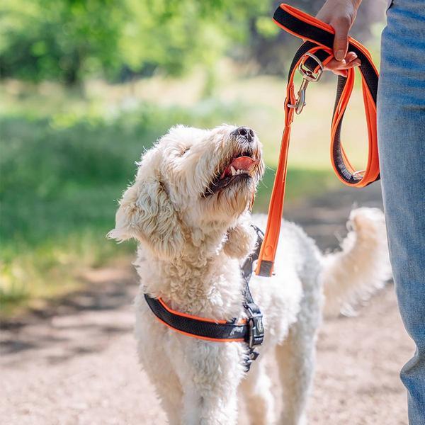 Produktbild Nobby Norwegergeschirr Mesh Preno (M, L, Hund, Allgemein)