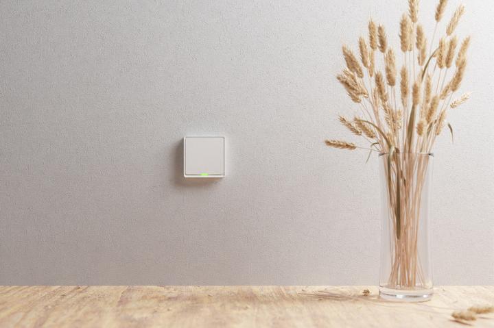 Produktbild Tesla TSL-SWI-ZIGBEE1