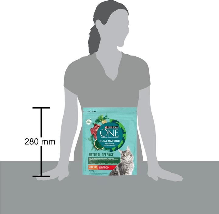Immagine prodotto Purina ONE 8445290070364 (Adulto, 1 pz., 670 g)