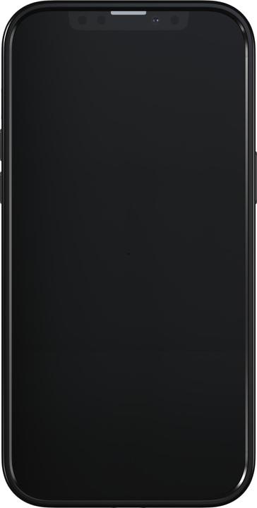 Image du produit Richmond & Finch Marbre noir (Apple iPhone 13 Pro Max)