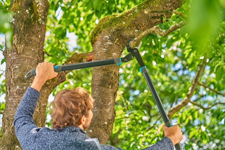 Actual product image Gardena EnergyCut Pro L pruning shears Anvil