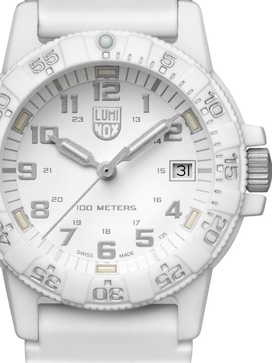 Actual product image Luminox Leatherback Sea Turtle 0300 Series (Swiss made, Analogue wristwatch, 39 mm)