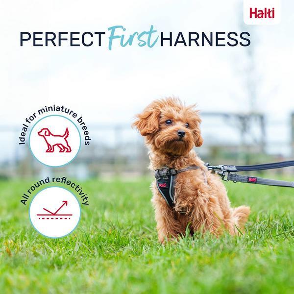 Produktbild Company of Animals Halti Anatomy XXS Welpengeschirr (XXS, Hund)