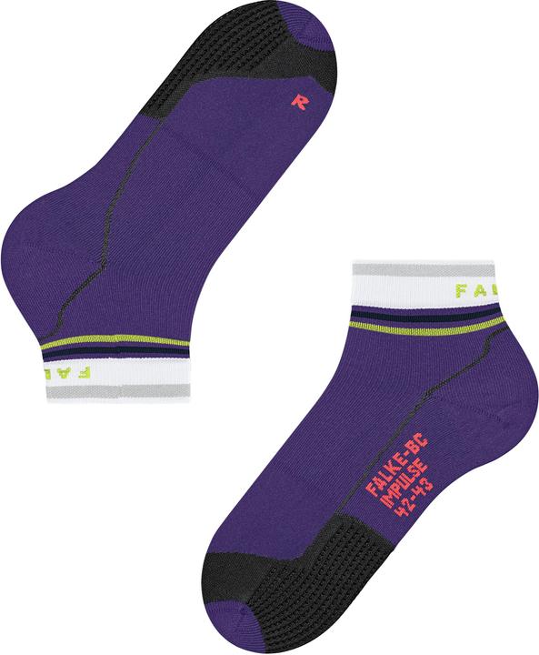 Image du produit Falke BC Impulse Reflect Short Unisexe Biking (44 - 45)