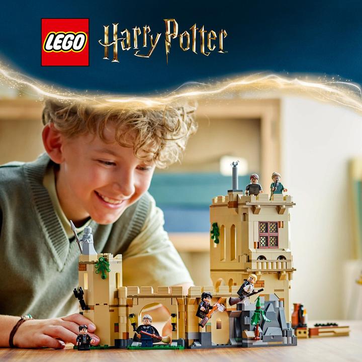 Actual product image LEGO Hogwarts Castle flying lessons (76447, LEGO Harry Potter)
