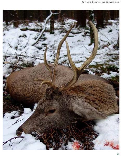 Produktbild Drückjagd (Deutsch, Peter Diekmann, 2021)
