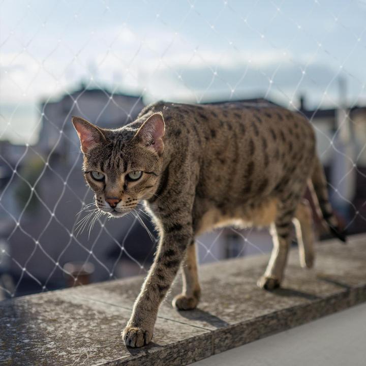 Produktbild EBI Duvo+ Balkon Sicherheitsnetz
