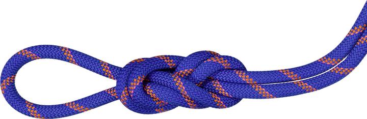 Immagine prodotto Mammut 9.0 Corda da arrampicata secca Alpine Sender (30 m)