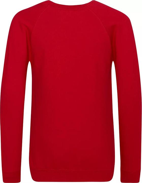Actual product image Awdis Academy school sweatshirt round neck (pack of 2) (140)