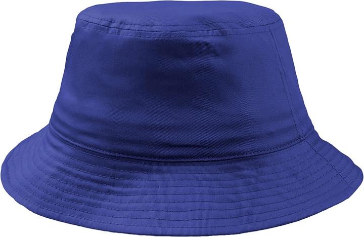 Bleu roi