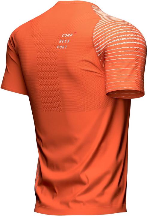 Image du produit Compressport Performance SS Tshirt M (S)