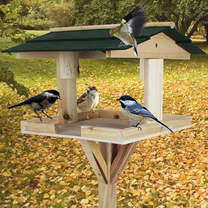 Actual product image Lifetime Bird Feeder with Stand (115x35x35 cm)