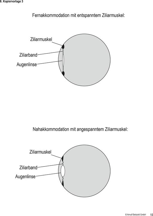 Produktbild Betzold Experimentier-Set Optik Bildentstehung im Auge