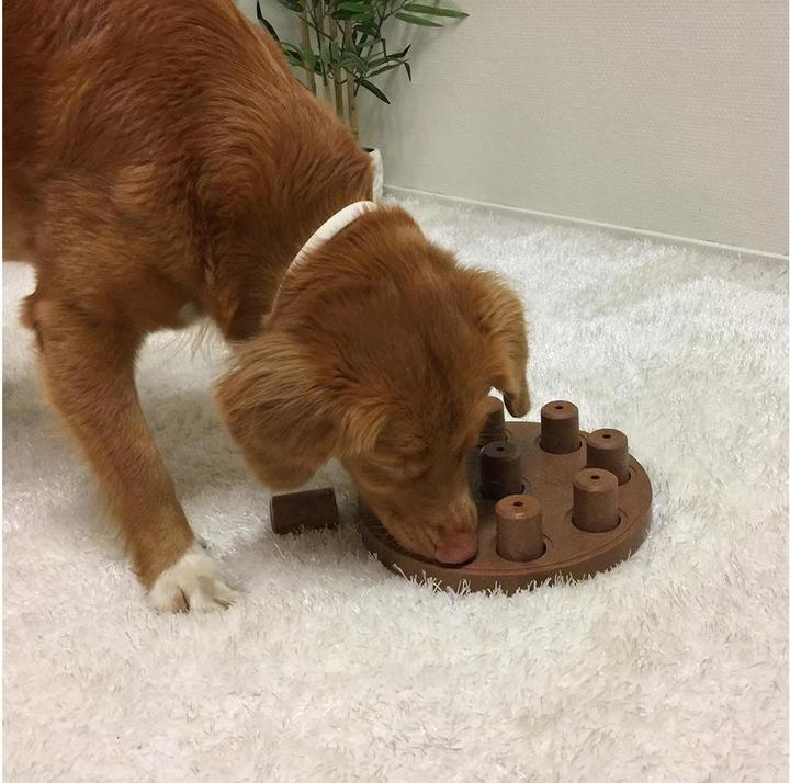Actual product image Nina Ottosson Dog Smart CompositeLevel 1 (Intelligence toy dog)