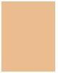 Produktbild Lancaster Infinite Bronze (Sonnencreme, SPF 30, 50 ml, 80 g)