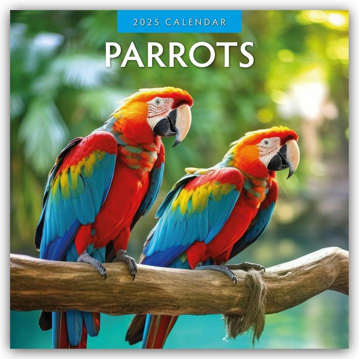 Red Robin Publishing Ltd:Parrots - Papa (305 x 305 mm, Couverture rigide, Anglais)