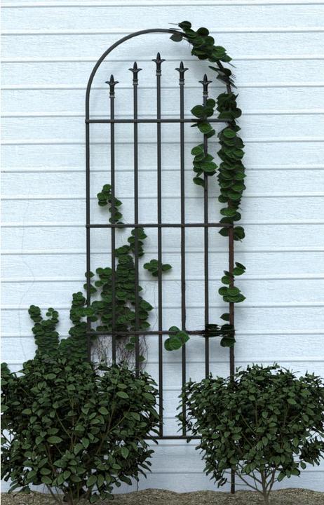 Plantes : accessoires