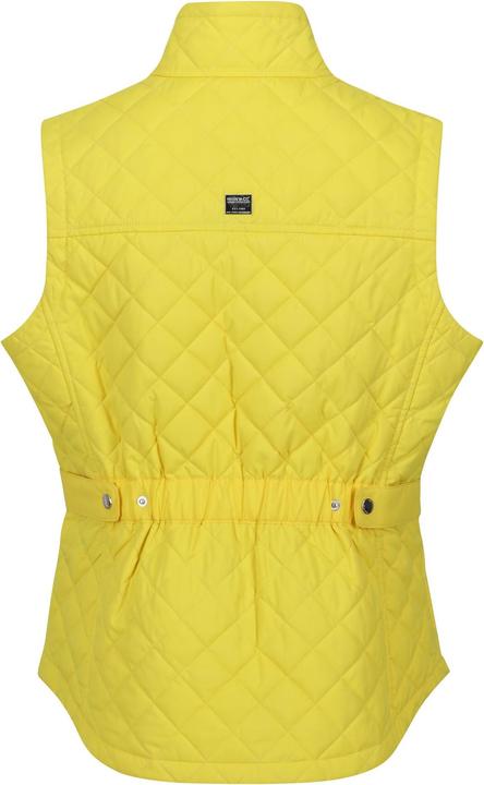 Actual product image Regatta Womens/Ladies Carmine Gilet (38 D)