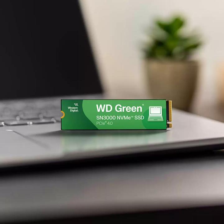 Actual product image WD Green SN3000 (500 GB, M.2 2280)