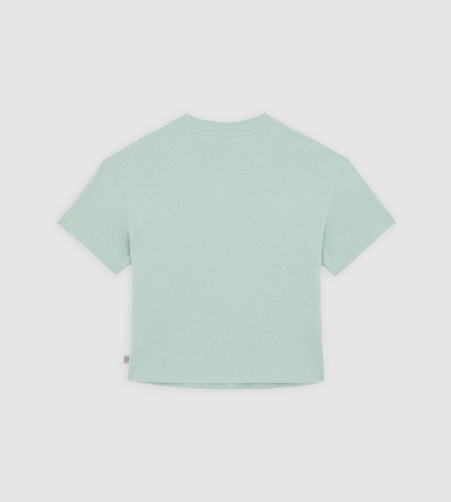 Image du produit Dickies Oakport Boxy Ss Tee Iceberg Green (S)