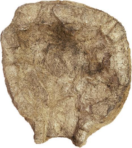 Vasca rotonda per corsi d'acqua in PRFV