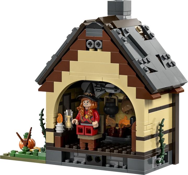 Actual product image LEGO Disney Hocus Pocus: The Sanderson Sisters' Cottage (21341, LEGO Ideas, LEGO Rare Sets)