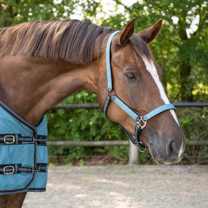 Immagine prodotto Qhp Duo sottosella e longe per cavallo