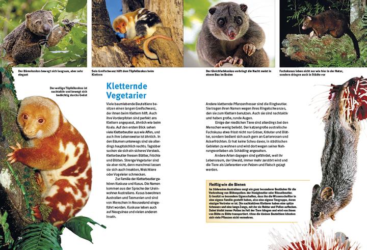 Actual product image Entdecke die Beuteltiere (German, Leonie Proscurcin, 2022)