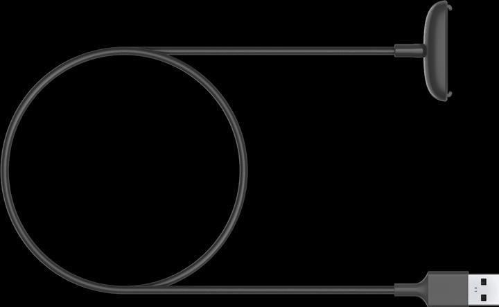 Actual product image Fitbit Retail Charging Cable